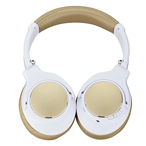 Bluetooth Headphone H1