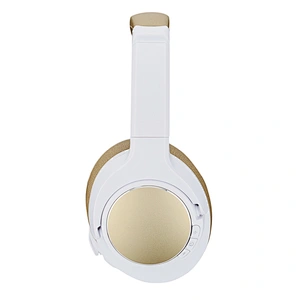 Bluetooth Headphone H1