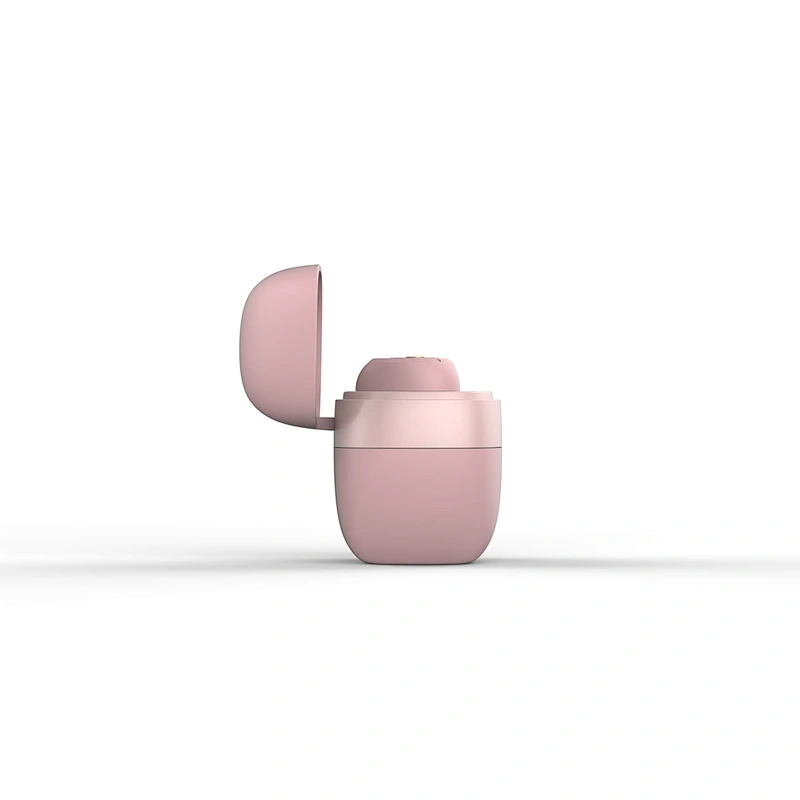 True Wireless Earphone