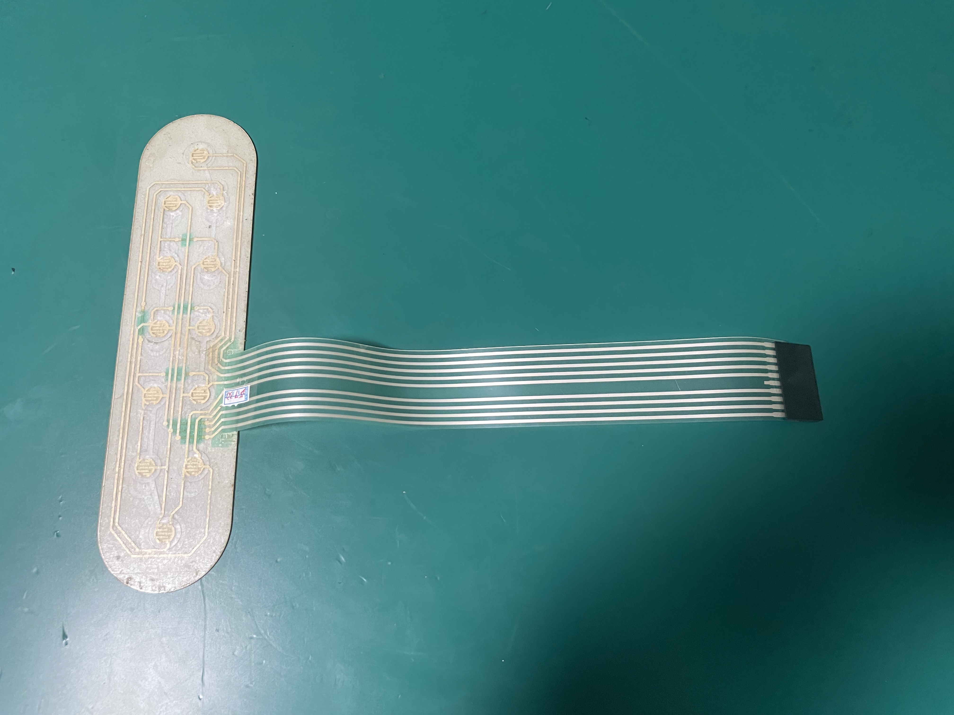 เมมเบรนคีย์การตรวจคลื่นไฟฟ้าหัวใจ Biocare ECG -300G