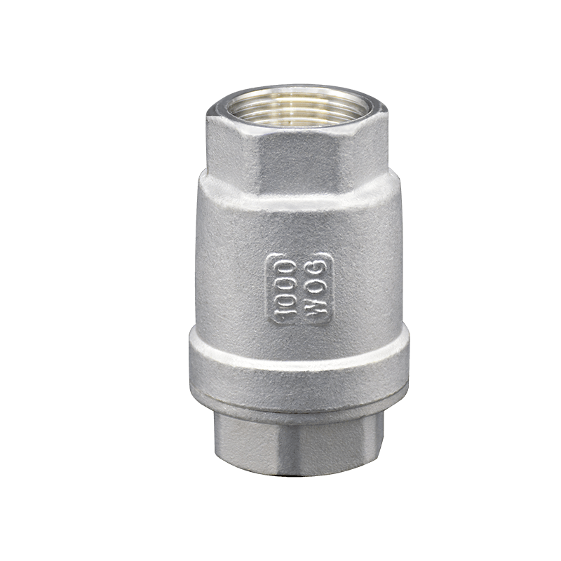 Stainless Steel Spring Vertical Check Valves