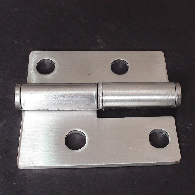 01221 trailer SS 201 hinges