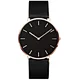 watch strap