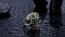  carving  stainless steel  skull ring men