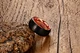 8mm tungsten ring