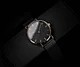 watch strap