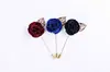 horseshoe brooches pins