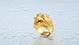 titanium Animal  ring