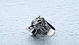 titanium Animal  ring