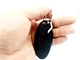 Mini Stainless Steel Bottle Opener