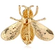High Quality Insect Brooch