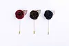 horseshoe brooches pins