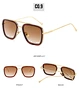 double beam sunglasses