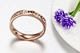 Titanium Silver 316l Stainless Steel Rings