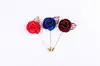 horseshoe brooches pins