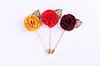 horseshoe brooches pins
