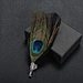 Peacock Feather Brooch