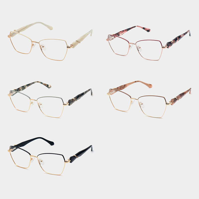 Avelisse Glasses complete double color metal front and decorative acetate temple design