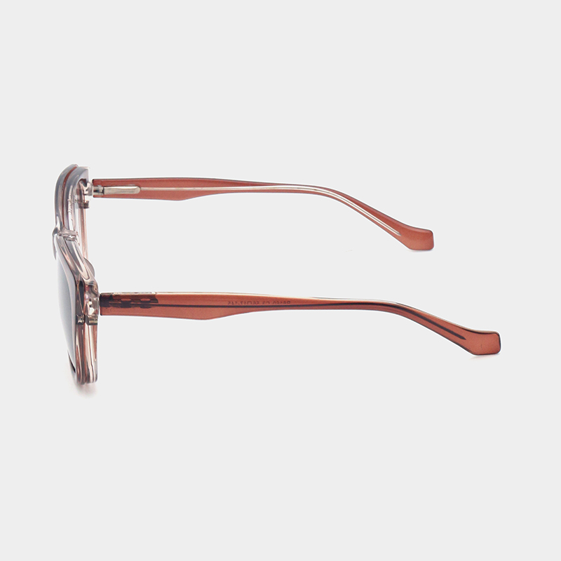 Solvaya Glasses CP temple with internal metal pin detail