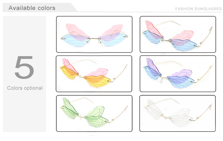clip on Sunglasses