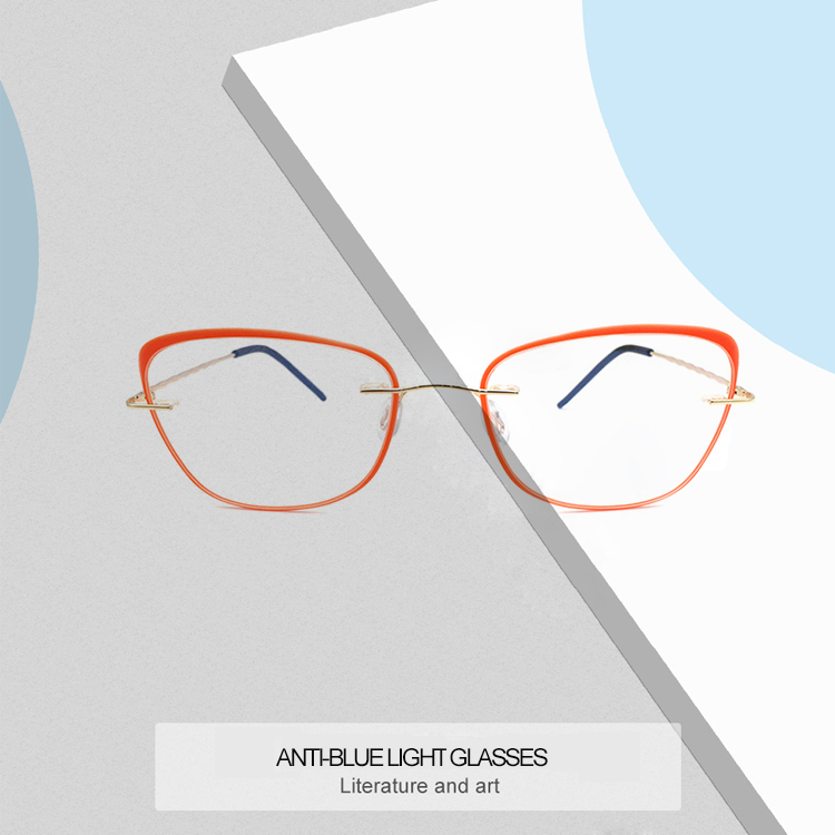 clip on Sunglasses