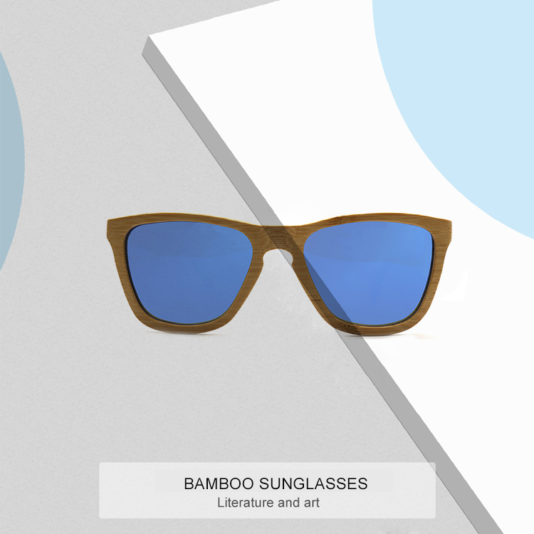 clip on Sunglasses