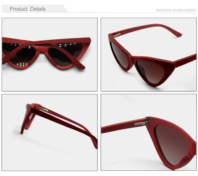 clip on sunglasses