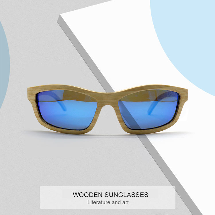 clip on Sunglasses