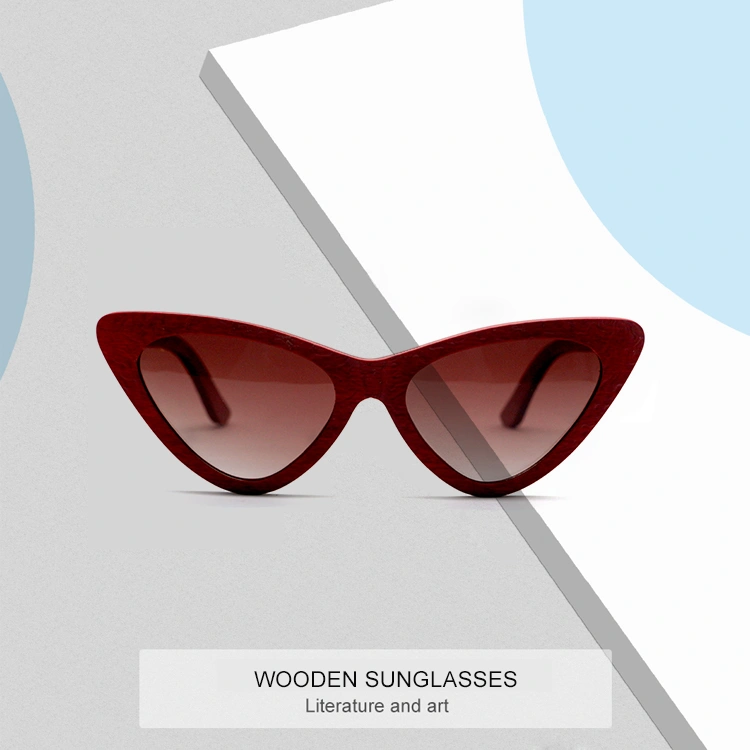 clip on Sunglasses