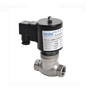 High Temperature 12V 24V DC NPT Thread Piston Hot Water Steam Solenoid Valve