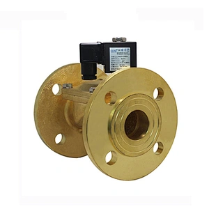 12V 220 Volt 6 inch Brass Flange Gas Water Solenoid Valve