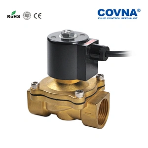 110V 220V AC diaphragm water solenoid valve