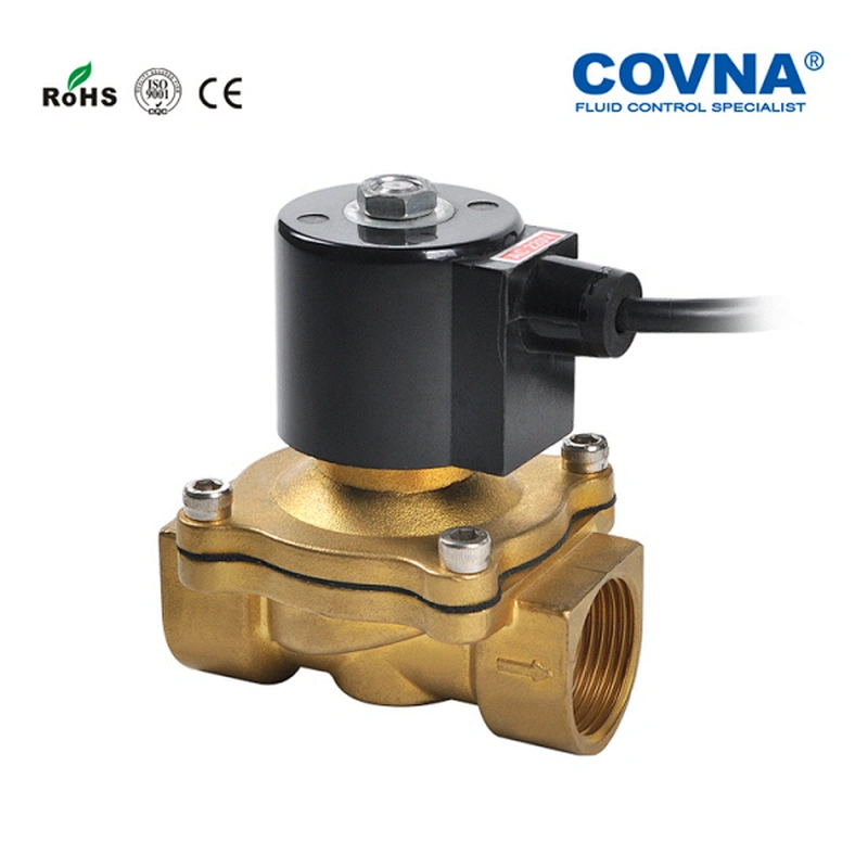 110V 220V AC diaphragm water solenoid valve