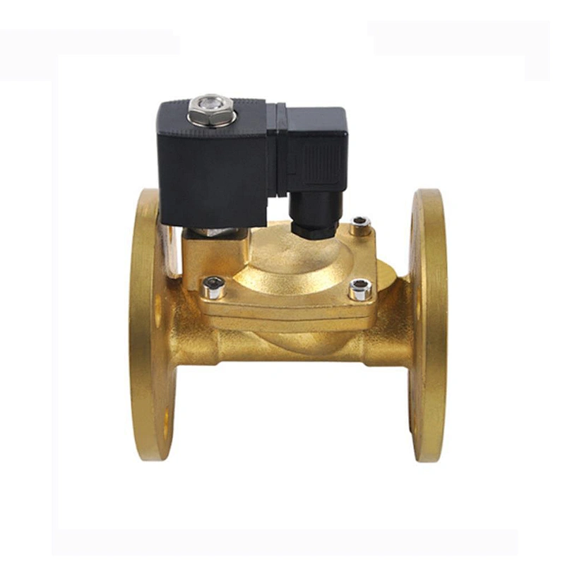 12V 220 Volt 6 inch Brass Flange Gas Water Solenoid Valve