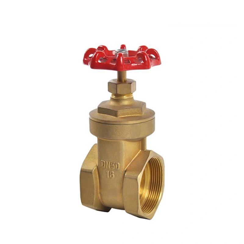 1/2 inch NPT Female Threaded 200 WOG Brass Gate Valve