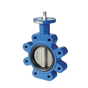 COVNA DN50 2 inch ANSI Class 150 EPDM Rubber Seat Lug Type Cast Steel 12 Volt Modulating Electric Actuator Butterfly Valve