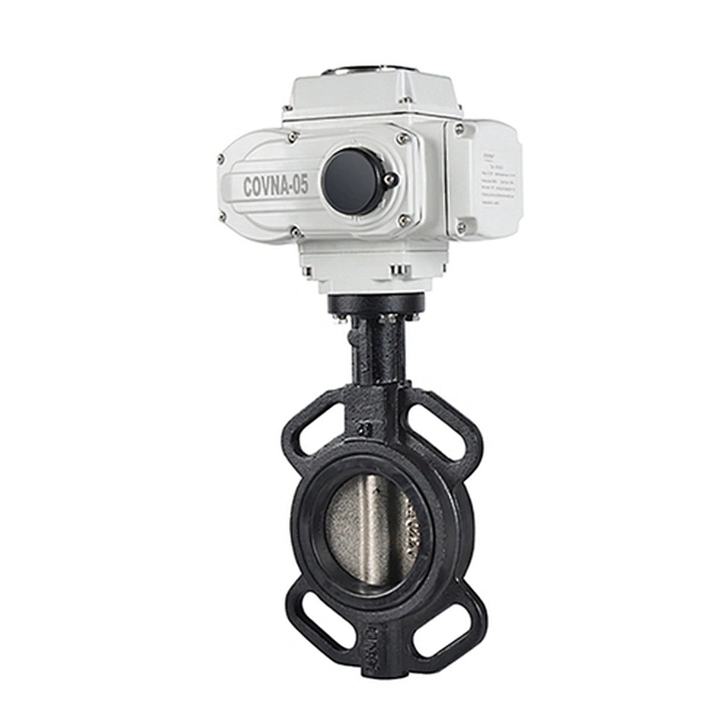 DN50 AC220V Cast Iron Butterfly Clamp Electric Valve with FKM Sealing