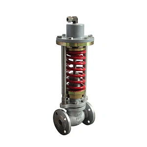 Automatic Globe type Stainless Steel316 Steel Body Self Regulating Control Valve