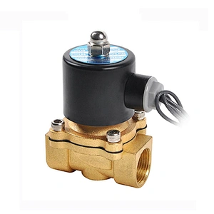 COVNA DN25 1 inch 2 Way 12V 220V Air Electric Brass 2W250 25 Solenoid Valve for Water