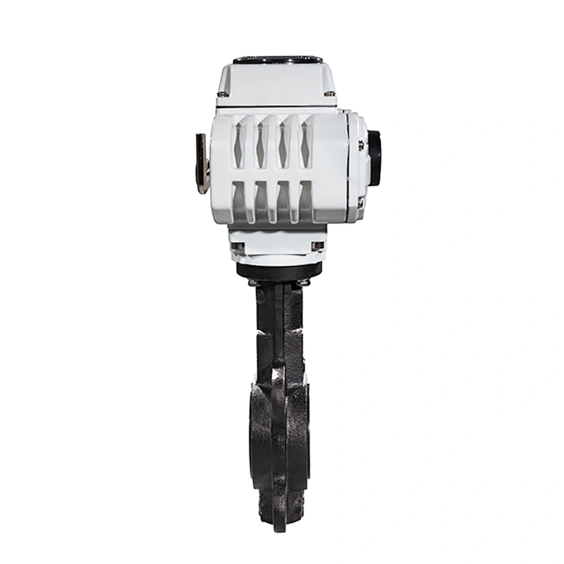 DN100 Wafer Type Cast Iron Body Rubber Lining Motor Operated Butterfly Valve