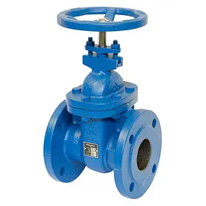 Cast Iron Flanged Outside Stem and Yoke Gate Valve