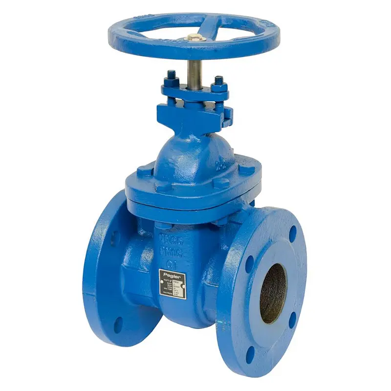 Cast Iron Flanged Outside Stem and Yoke Gate Valve