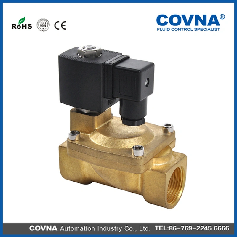 Normal Closed Pilot Piston 2 Position 2 Way Solenoid Valve for Steam