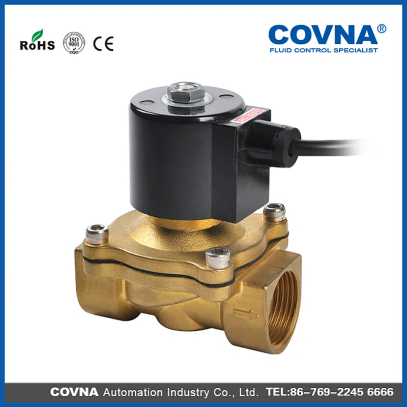 110V 220V AC diaphragm water solenoid valve