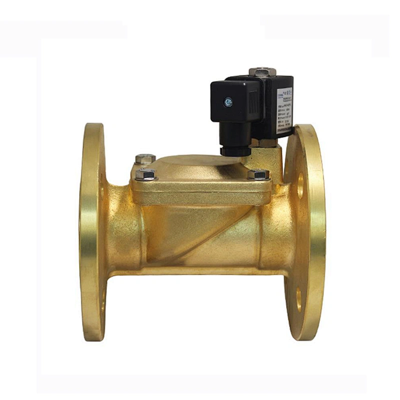 12V 220 Volt 6 inch Brass Flange Gas Water Solenoid Valve
