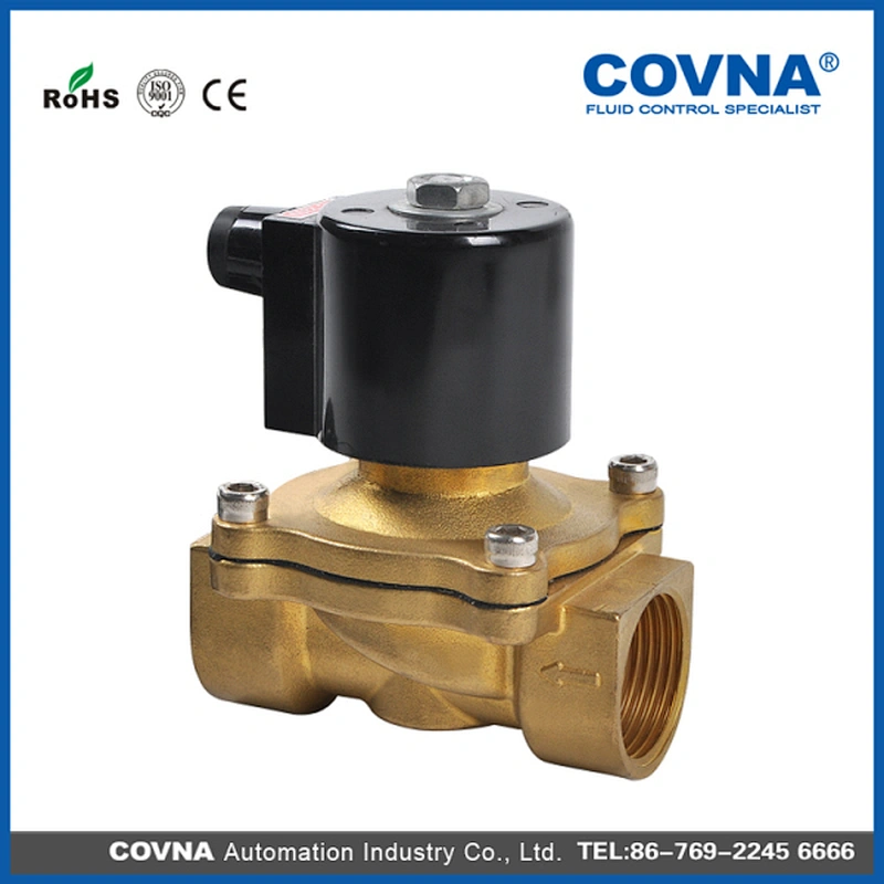 110V 220V AC diaphragm water solenoid valve