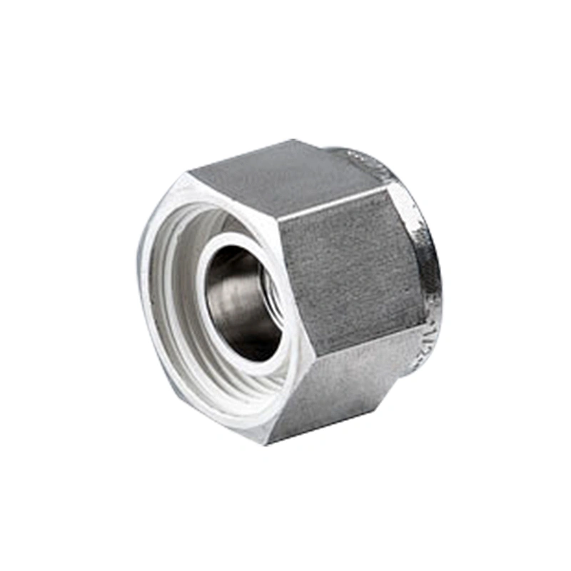 Instrumentation 1/4 3/8 1/2 1 inch Hex Plug Pipe NPT Female Stainless Steel Tube Fitting