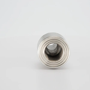 High Pressure Stainless Steel 316 Pipe to Tube Fitting Reducing Straight Welding Pipe Fitting