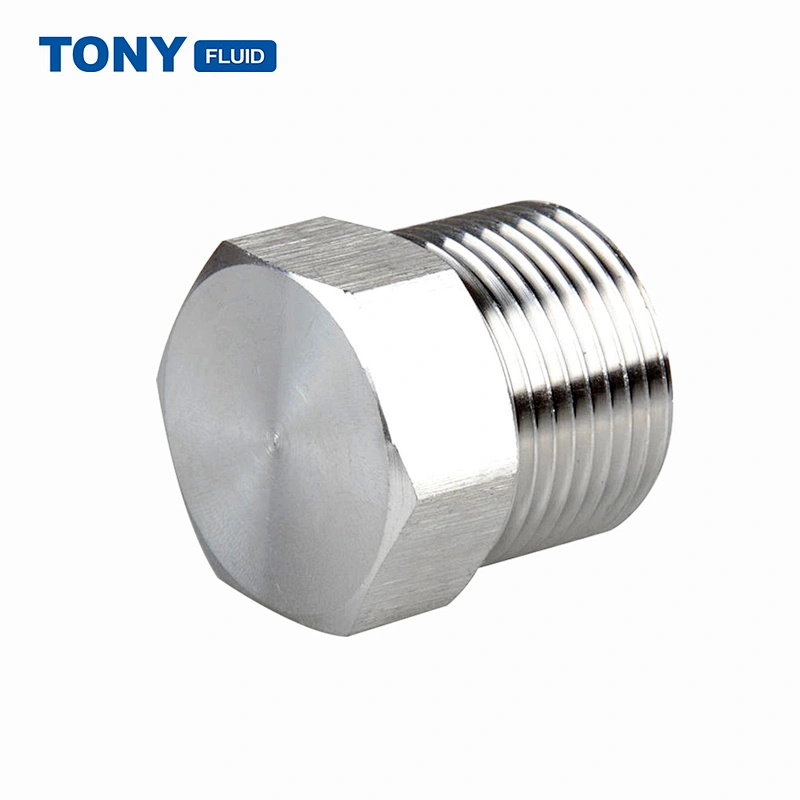 Multiple Types Stainless Steel SS304 SS316 Hex Plug Male Thread Pipe Plug
