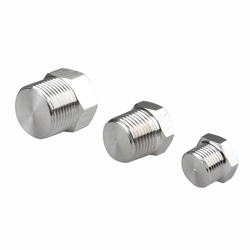 Multiple Types Stainless Steel SS304 SS316 Hex Plug Male Thread Pipe Plug